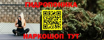 индика Пушкино