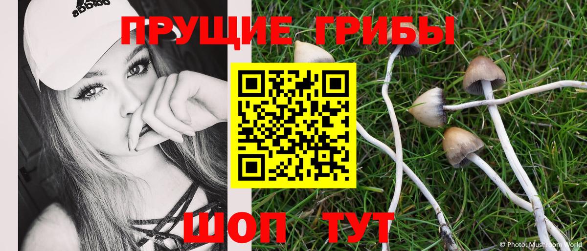 Псилоцибиновые грибы ЛСД  Вход с VPN  Петрозаводск 